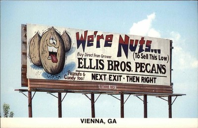 Vienna GA Georgia Ellis Brothers Pecans c1950-60s Vintage Postcard