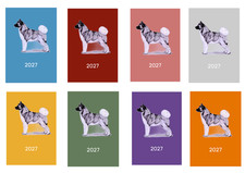 Akita Week 2027 Diary A5 A6 Dog Show Normal Appointment
