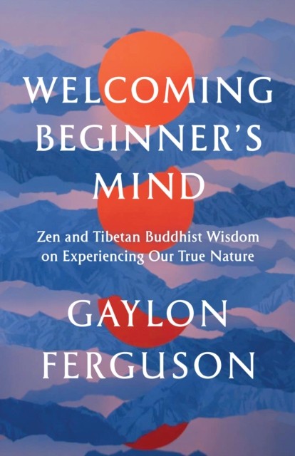 Welcoming Beginner's Mind by Gaylon Ferguson (Paperback Book)