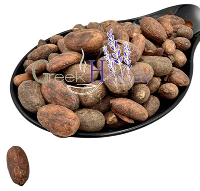 Raw Criollo Whole Cacao Beans 20g - 4.9kg / Theobroma Cacao