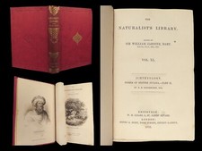 1852 FISH ART Jardine Naturalist Ichthyology Guiana Natural History Gar FISHING