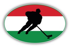 Hungary Flag Hockey Label Car Bumper Sticker Decal