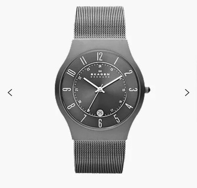 Skagen Designs Titanium 233XLTTM Armbanduhr für Herren