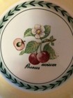 Villeroy & Boch French Garden Valence Bread & Butter Plate.  NEW. — photo 2