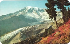 Washington Mount Rainier and Nisqually Glacier Autumn View Postcard