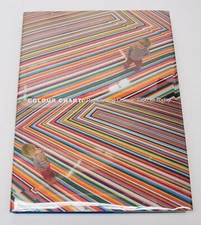 Color Chart: Reinventing Color 1950 to Today - MOMA TATE / HB+DJ LN art painting