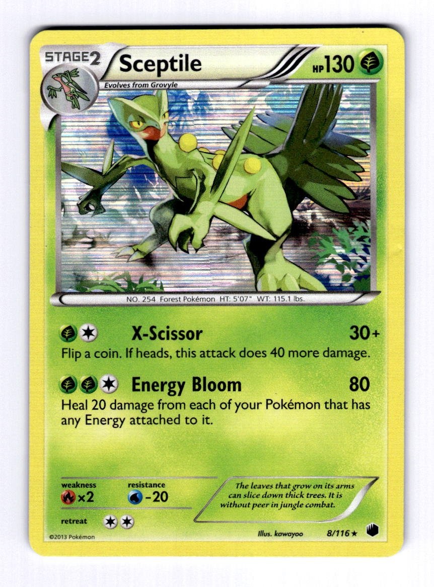 Sceptile Plasma Freeze #8 (2013) Holo MP Pokemon