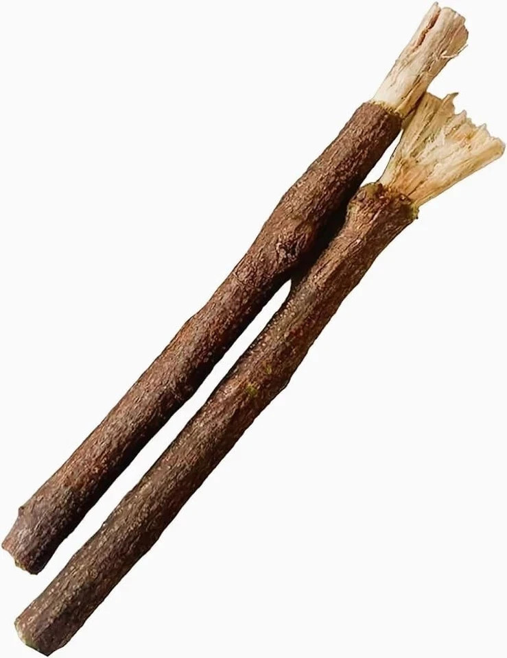 100% FRESH NEEM 10 Chewing Sticks TREE DATUN ORAL HERBAL TEETH & TONGUE ...