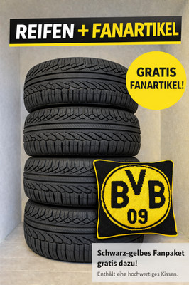 4x Ganzjahresreifen (1 Satz) 195/55 R15 85V NEU GRATIS BVB FANKISSEN 1955515