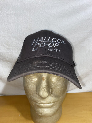 Vintage Hallock Minnesota Co-Op Elevator Mesh Farm Trucker Hat Baseball Cap Lid