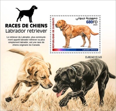 2024 Top 10 Most Common Dog Breeds Dangerous Dogs Dog Names Top 20