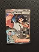 Black Belt's Training 255/217 Ultra Rare Ascended Heroes Pokemon Holo Near Mint