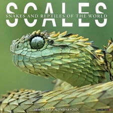 Scales 2026 Wall Calendar by Willow Creek Press