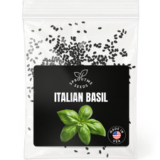 Italian Basil Seeds 500 , Heirloom Non-GMO, Large Leaf Culinary Herb