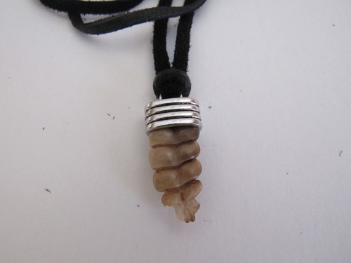 Rattlesnake Rattle Pendant Snake Necklace Animal Bone Jewelry kids N4872 - Imagen 5 de 6