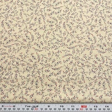 Splendor by Jason Yenter In The Beginning Fabrics Beige Cotton by the HALF YARD