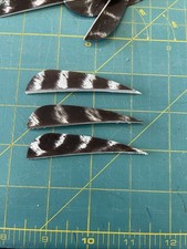 3" Right Wing Parabolic Natural Barred Feather Fletching, 25Pk Archery     