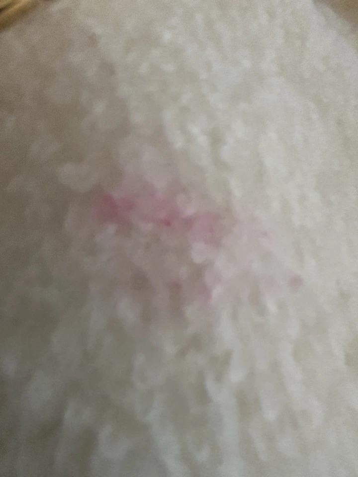 ¡Este es un impresionante abrigo de invierno blanco que te mantendrá caliente, acogedor y con estilo! Foto 2 de 4