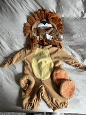 Baby Lion Costume Size: 6-12 Month