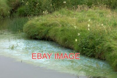 FOTO BLAUALGEN BLÜHEN IM BRAND VON BURRAFIRTH BLAUALGEN ODER MEHR