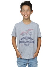 Harry Potter Niños Quidditch At Hogwarts Camiseta
