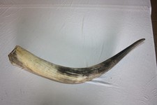 Longhorn, Horn, Stiergeweih Deko, Vintage, Wilder Westen