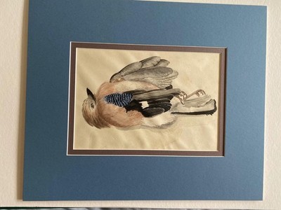 VOGELHÄHER BEIM ANDOCKEN NORFOLK von P S Richardson 1977 Aquarell + Montierung