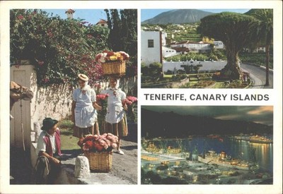 Teneriffa Kanarische Inseln JOHN HINDE Original Postkarte Drachenbaum Hafen