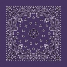Plum Paisley 22x22 Bandanna