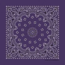 Plum Paisley 22x22 Bandanna