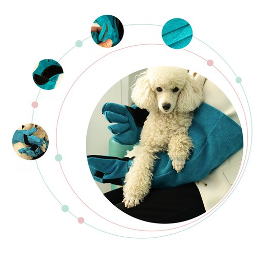 Animal Handling Anti Bite Gloves Training Cat Dog Pet Leather Safety Protective - Picture 7 of 13