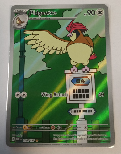 Pokemon Pidgeotto 208/197 Obsidian Flames Illustration Rare Holo LP