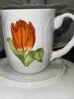 VTG 1979 Sheffield TULIP TIME 16 Piece Coffee Set Mugs/Plates Floral Japan — photo 8