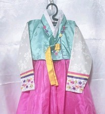 Korean Traditional Hanbok Elegant Design Beautiful Cultural Dress