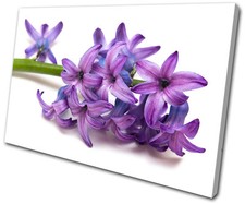 Floral Flower Flowers SINGLE CANVAS WALL ART Picture Print VA