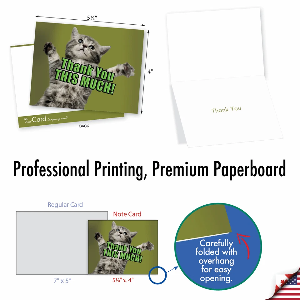 10 tarjetas de notas de agradecimiento surtidas con sobres - CAT BIG THANKS M2368TYG Foto 2 de 4