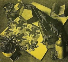 M.C. ESCHER HIS LIFE AND COMPLETE GRAPHIC WORK HARDCOVER 