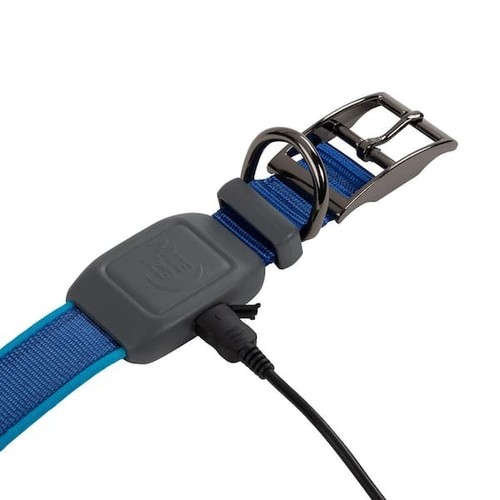 NiteDog - M - Blue/Blue Rechargeable LED Collar - Picture 6 of 8