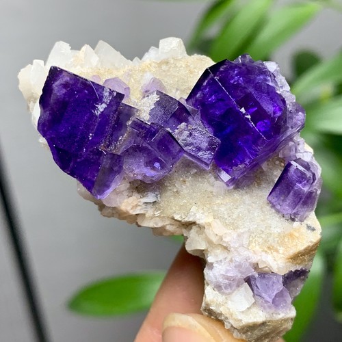 36G Natürliche Transparente Lila Kubische Fluorit Mineral Probe Innere Mongolei - Bild 8 von 21