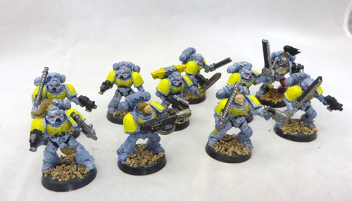 Warhammer 40k Marines Espaciales Lobos Lobo 10 Hombre Escuadrón Pintura Básica  - Imagen 1 de 2