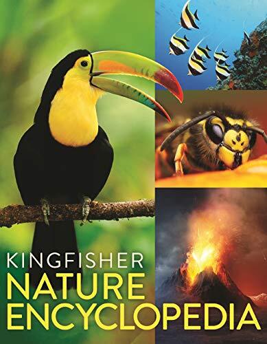Thumbnail - David Burnie The Kingfisher Nature Encyclopedia (gebundene Ausgabe)
