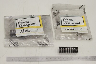 2x AFTERCARE für Case 28 31 35 CX28 Feder Spring 6191715M1 OVP