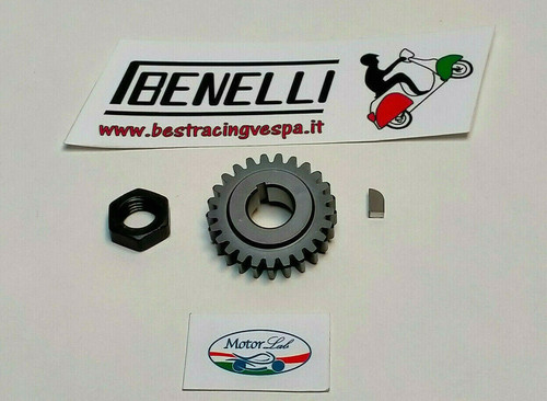 Pignone Z 25 per 24/72 Best Racing-Benelli Vespa 50,special,125,et3,pk,ets - Foto 1 di 1