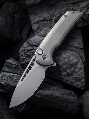 WE Knife Mini Malice CPM 20CV Titan verschiedene Varianten