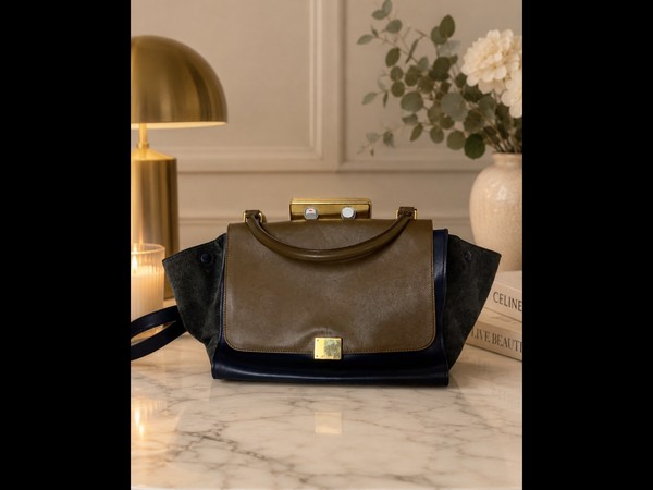 Vintage Celine Trapeze Hand Bag (medium)
