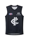 Carlton Blues Home Footy Guernsey Football Jumper Youth Kids Men Sizes S - 3XL
