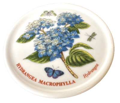 Round Coaster Botanic Garden Portmeirion Hydrangea Macrophylla 3 3/4'' Blue