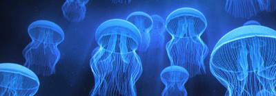 3 D / Lentikular - Wackel - Lesezeichen:  Quallen - Schwarm - Flock of Jellyfish