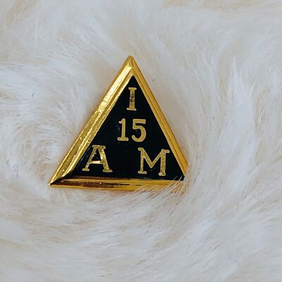 I AM Machinist & Aerospace Union 15 Year Gold Filled Service Award Lapel Pin
