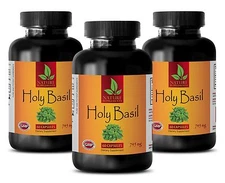 Immune loss natural vitamins - HOLY BASIL EXTRACT 745MG 3B - basil seeds